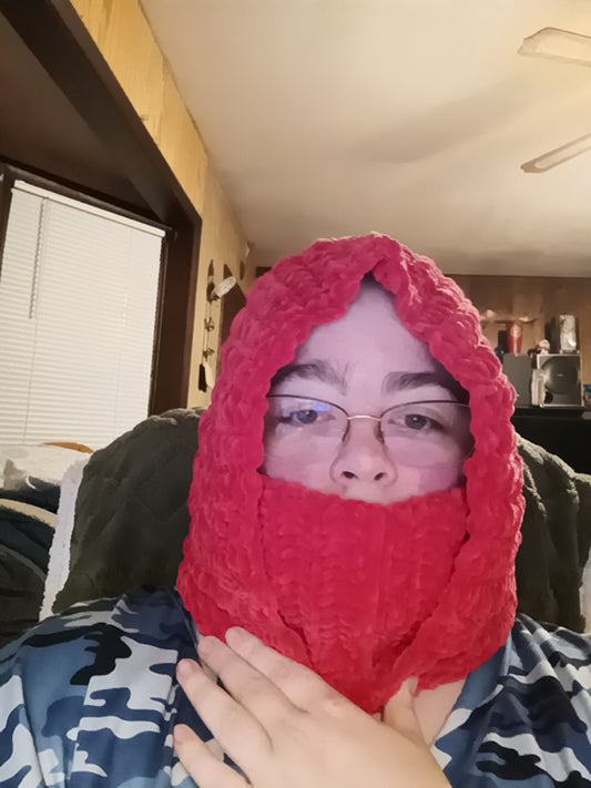 Hooded turtle neck scarf